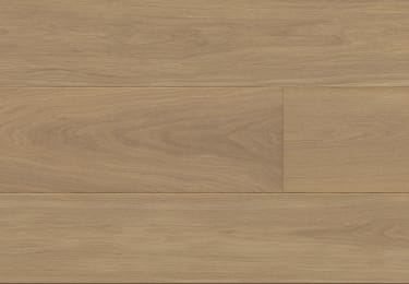 Amazon 13 Prime 180mm 1-Strip